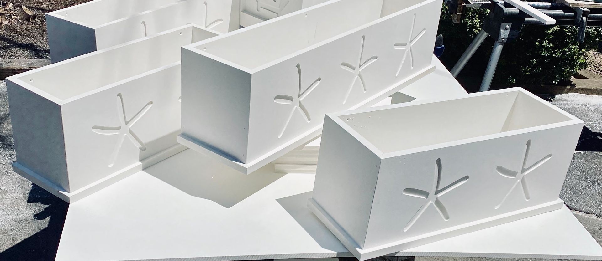 Our Signature Design - the Starfish