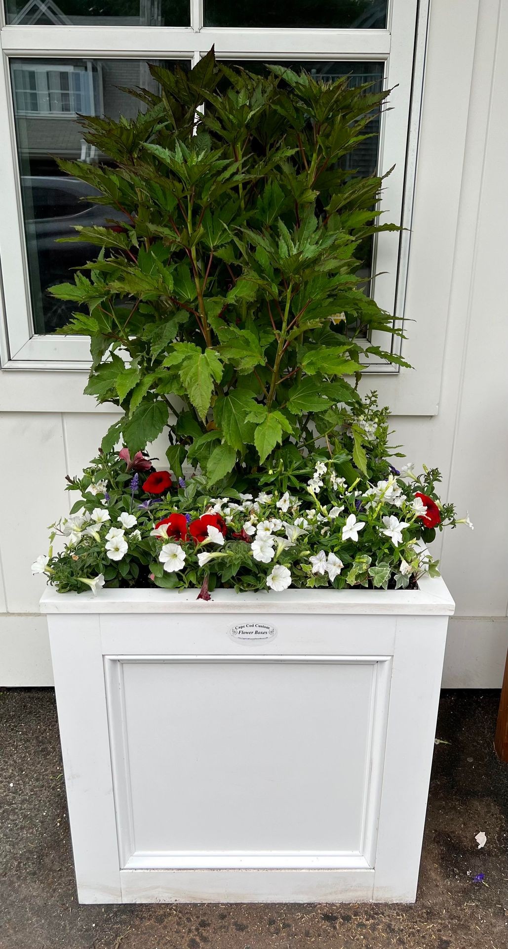 Chatham 14" Square Planter