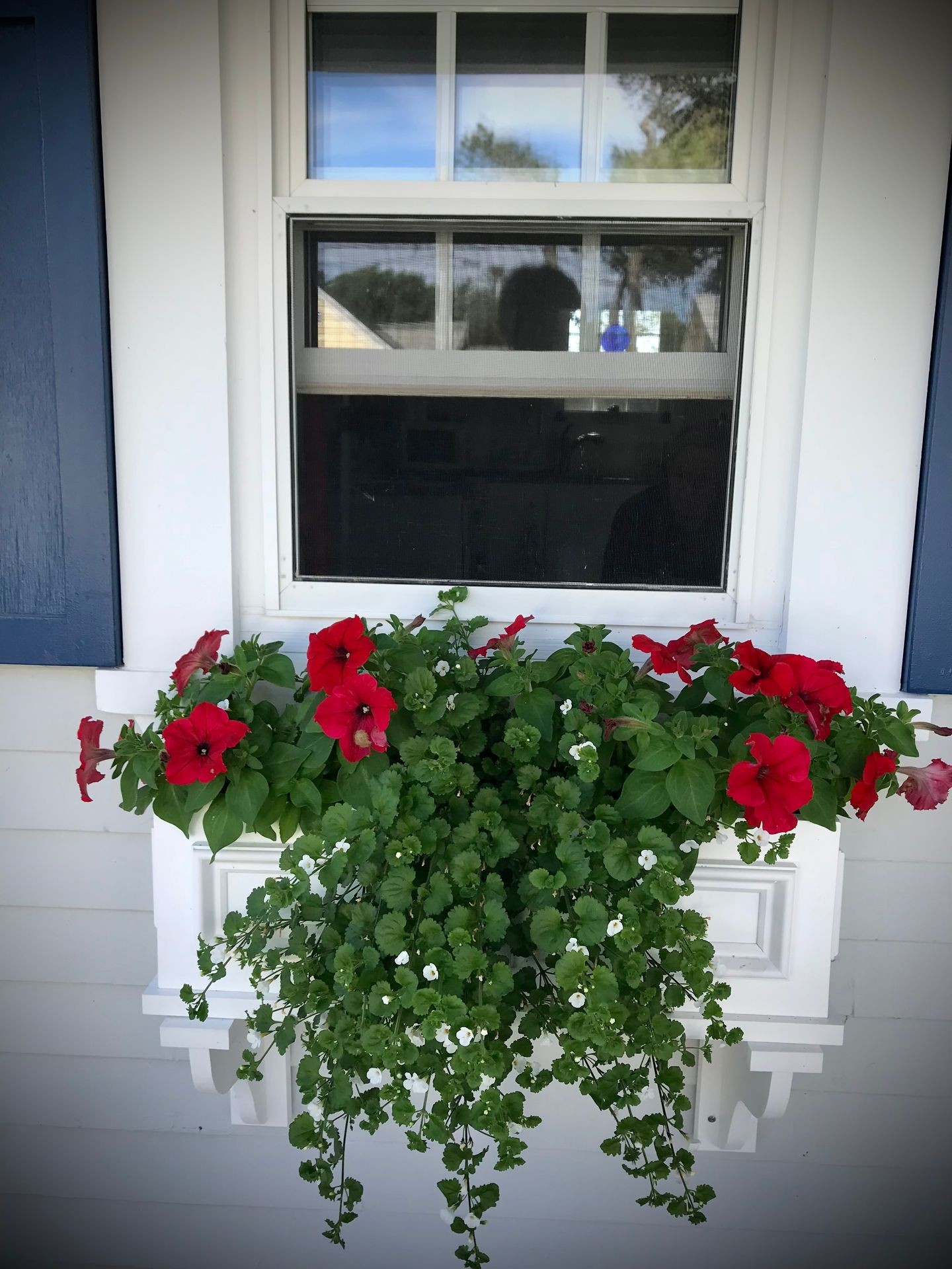 Sandwich Window Box - 24"L